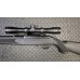 Ruger 10/22 50th Anniversary .22LR 18.5" Barrel Semi Auto Rimfire Rifle Used